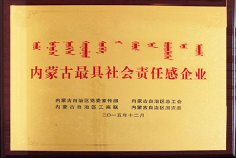 内蒙古最具社会责任感企业